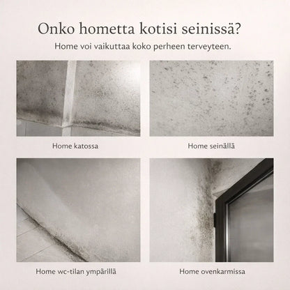 – poistaa homeen ilman hankausta
