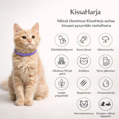KissaHarja – Tehokas harja irtokarvojen poistoon