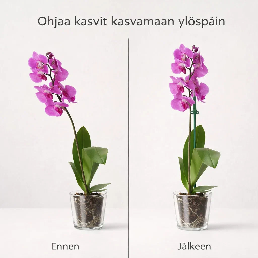 KasviTuki – Tukea vahvemmille ja suoremmille kasveille