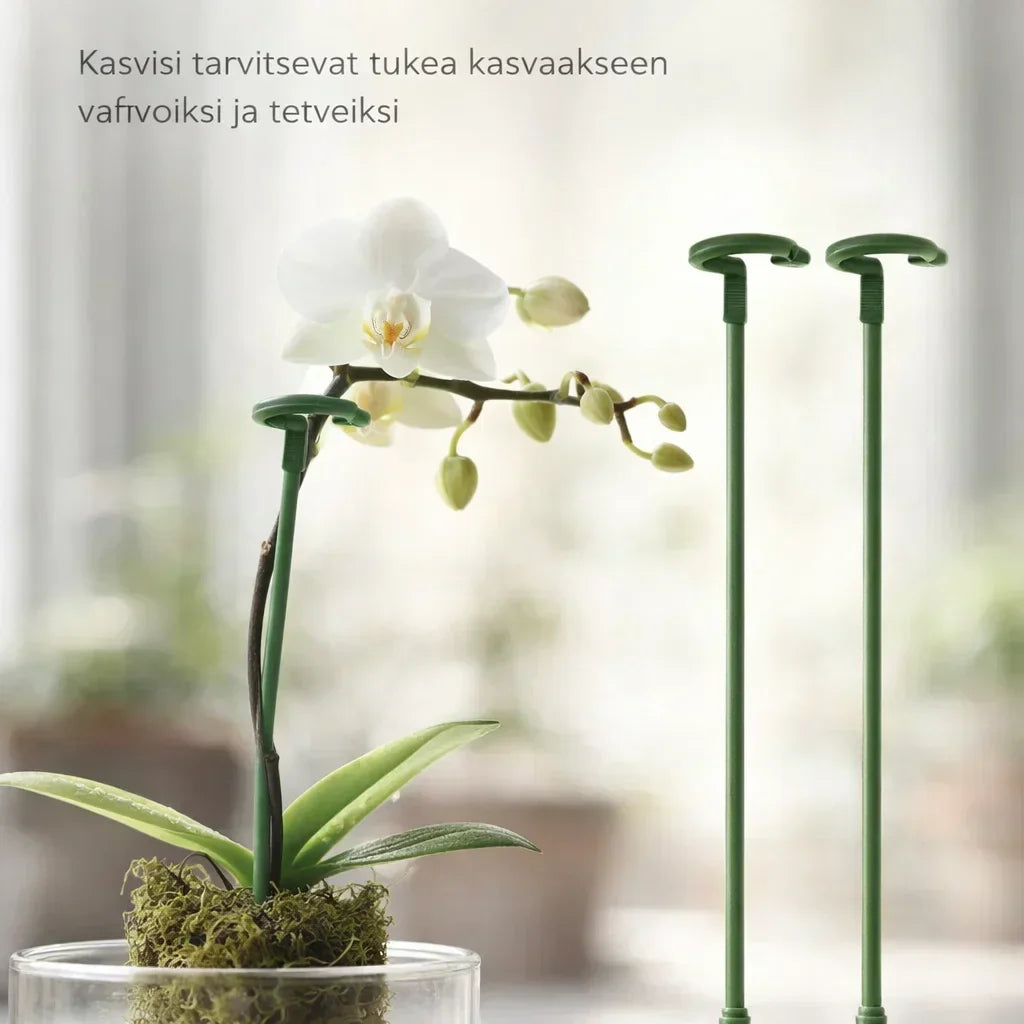 KasviTuki – Tukea vahvemmille ja suoremmille kasveille