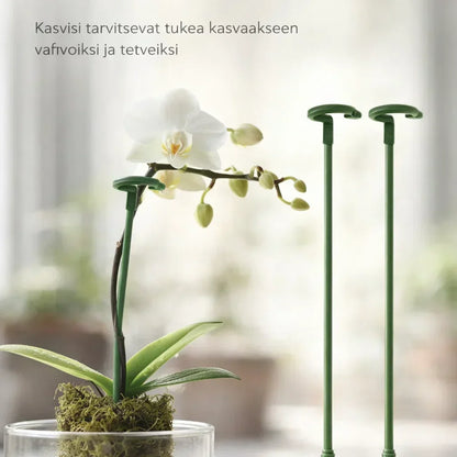 KasviTuki – Tukea vahvemmille ja suoremmille kasveille