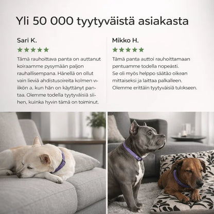 PunkkiSuoja – Luotettava suoja punkkeja vastaan
