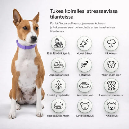 PunkkiSuoja – Luotettava suoja punkkeja vastaan